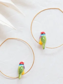 Moyennes créoles diamant de gould><noscript><img width=