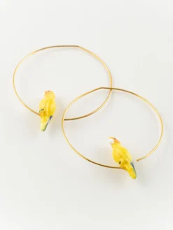 Moyennes créoles perroquet jaune><noscript><img width=