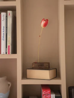 Red eternal tulip>NACH BIJOUX Discount