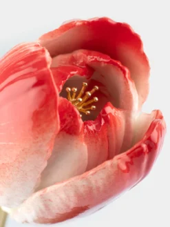 Red eternal tulip>NACH BIJOUX Discount
