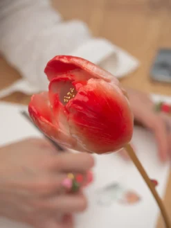 Red eternal tulip><noscript><img width=