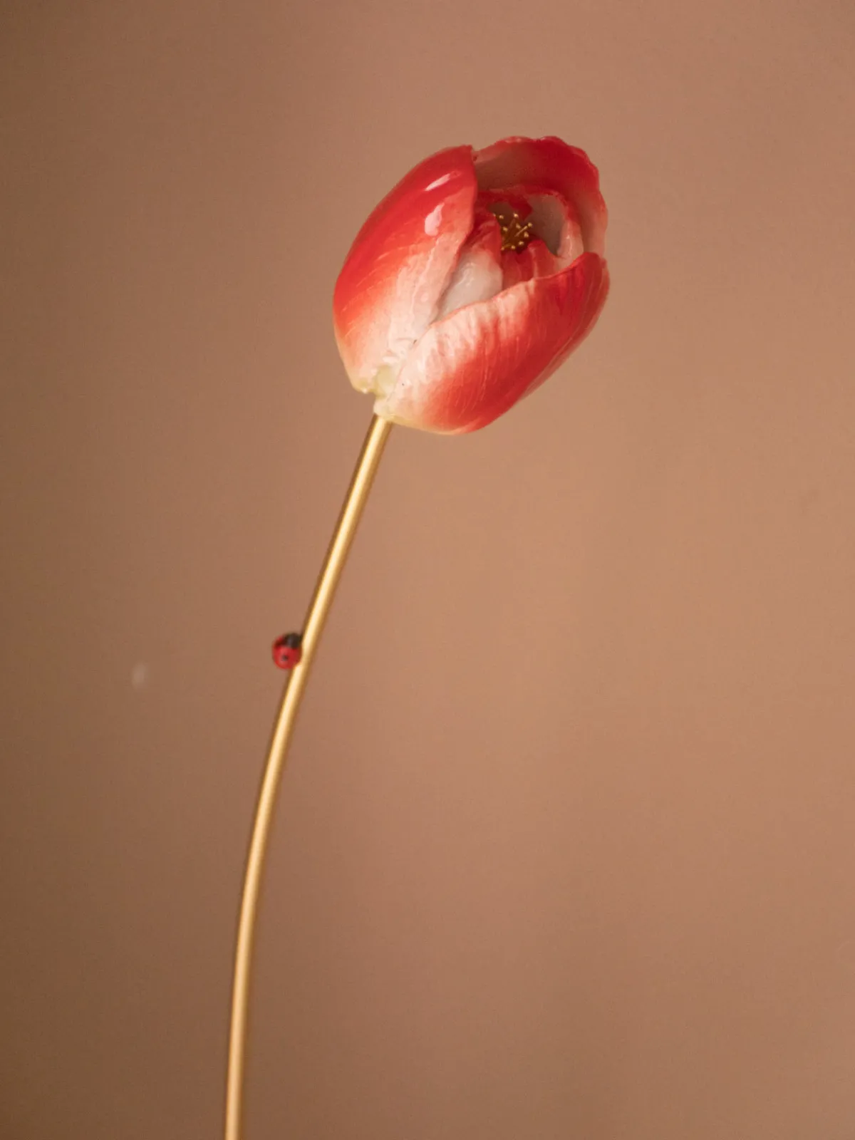 Red eternal tulip>NACH BIJOUX Discount