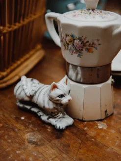 Tabby cat stapler><noscript><img width=